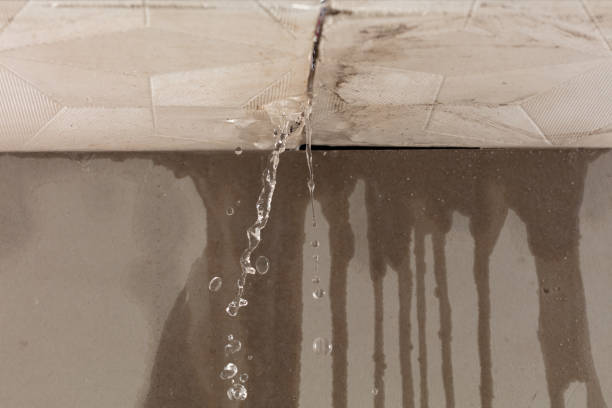 Professional Flood Damage Cleanup technician working in Carlisle, AR